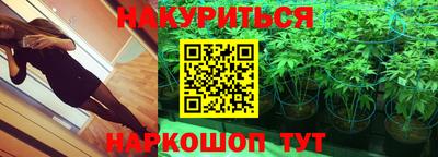 стафф Кинель