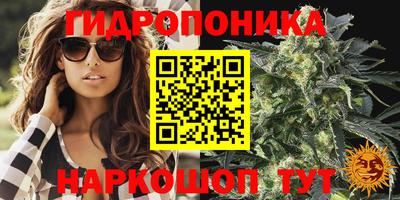 стафф Кинель