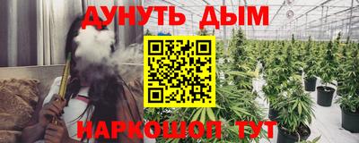 стафф Кинель