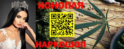 тгк Кимры