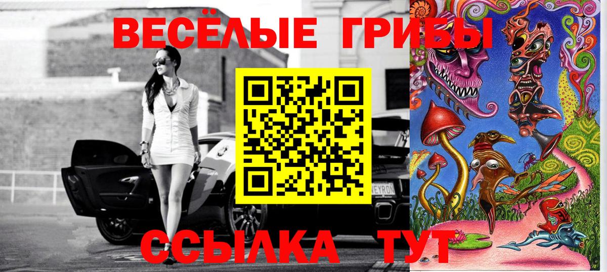 Галлюциногенные грибы Magic Shrooms  Вход с VPN  Канск 